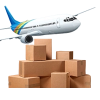 EPCG and Advance Authorization clearance services in Chennai for duty-free import with full compliance